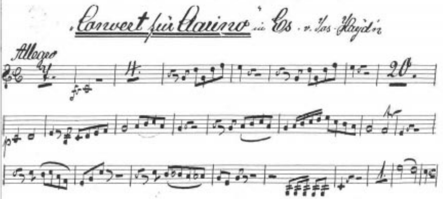 Ilustración 6. Manuscrito de Haydn